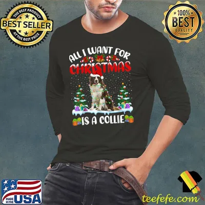 Funny Funny Santa Hat All I Want For Christmas Is A Collie T Shirt