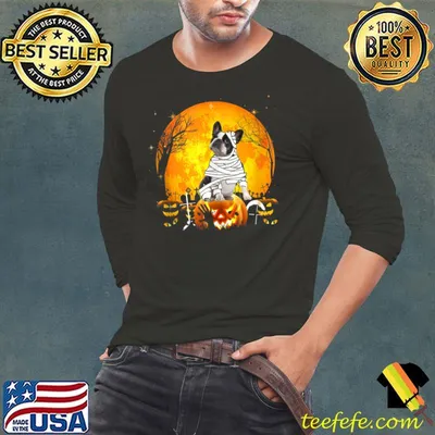 Halloween Shirts for Boys Kids Boston Terrier Mummy Pumpkin T-shirt