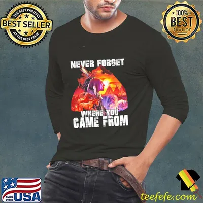 Native American Never Forget Where You Came From Shirt