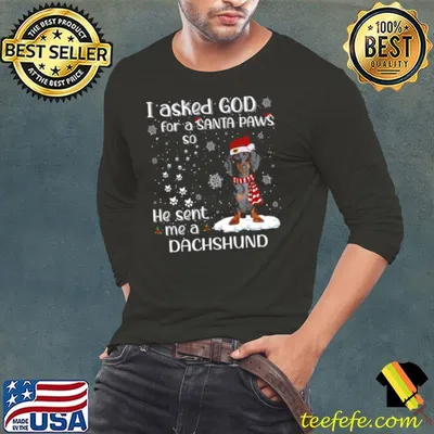 Nice I asked god for a santa paws so he sent me a Dachshund shirt