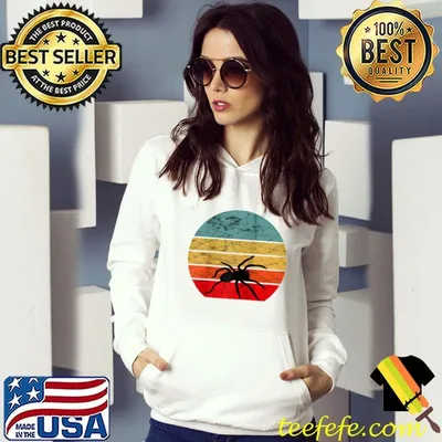 Nice tarantula Spider Arachnids Lover Vintage Retro Sunset T-shirt