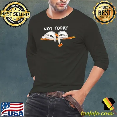 Not Today No Sloth Shirt