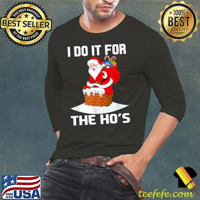 Premium i Do It For The Ho's Funny Inappropriate Christmas Men Santa T-Shirt