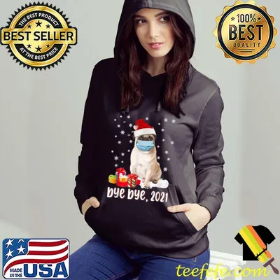 Pug Dog Bye Bye 2021 Christmas T Shirt