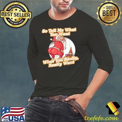 Tell Me What You Want Funny Christmas Santa Xmas Gift T-Shirt