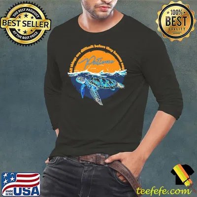 Turtle Patience All Things Are Difficult Before They Become Easy Shirt