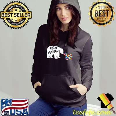 Cute Autism Awareness Big Brother Bear Family Autistic T-Shirt