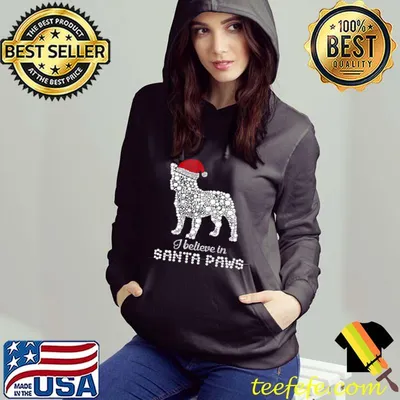 I Believe In Santa Paws shirt
