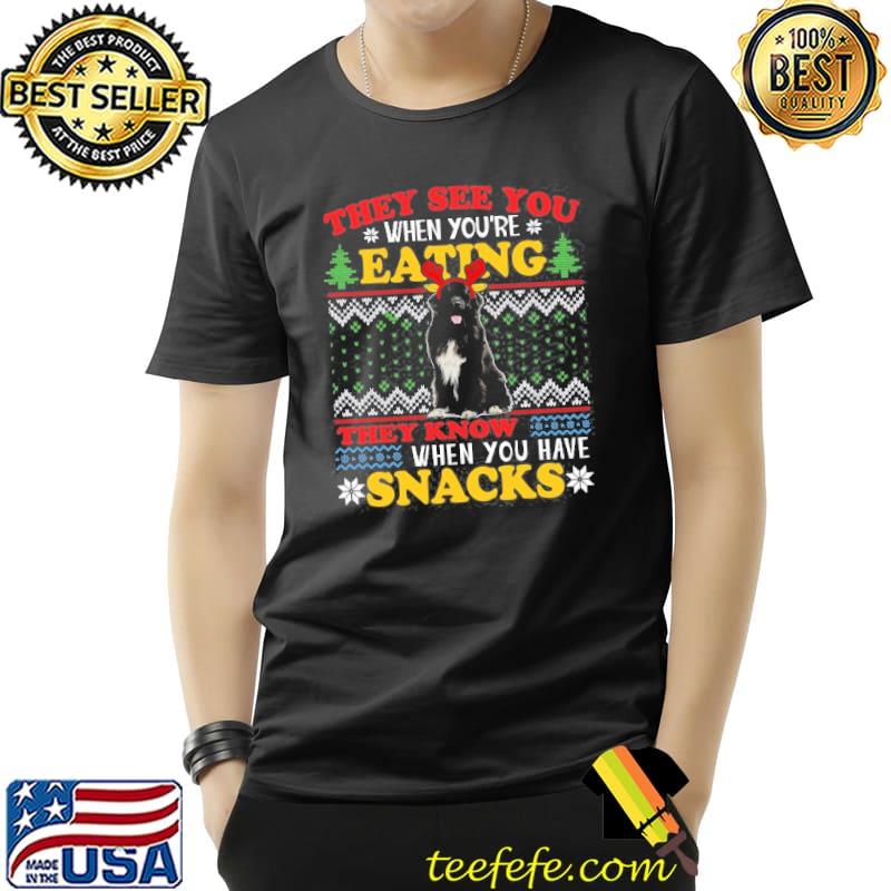 Newfoundland Ugly Christmas They See You’re Eating Snack Christmas Shirt Unisex Newfoundland Ugly Christmas They See You’re Eating Snack Christmas Shirt Unisex