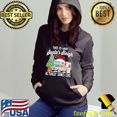 This is what santa's sleigh actually look like Shirt