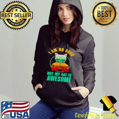 Top cat I am no good but my cat is awesome shirt