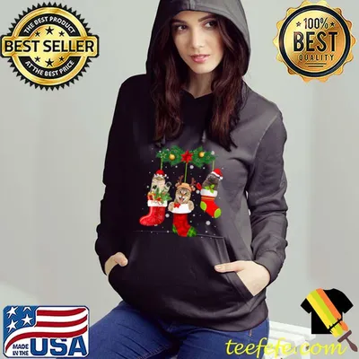 Original Cute Cats In Christmas Sock Funny Family Matching Cat Lover T-Shirt