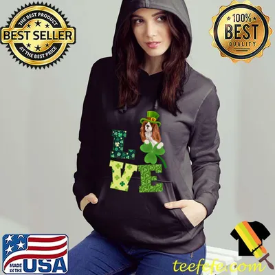 Cavalier King Charles Spaniel St. Patricks Day Funny Irish Premium T-Shirt