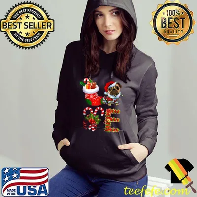 Nice Love Pug Dog Christmas Light Funny Dog Animal Lover T-shirt