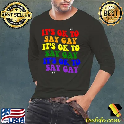 It's Ok To Say Gay LGBTQ Pride Flag Premium T-Shirt