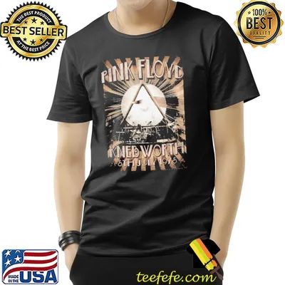 Pink Floyd live at knebworth wish you were here shirt