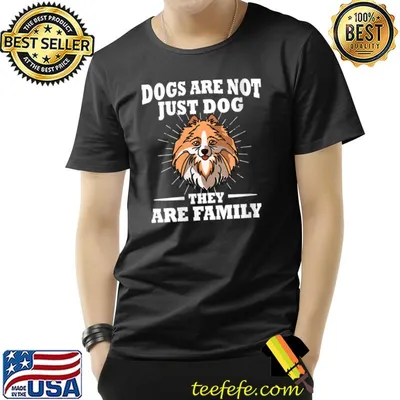 Pomeranian Are Not Just Dog They Are Family T-shirt