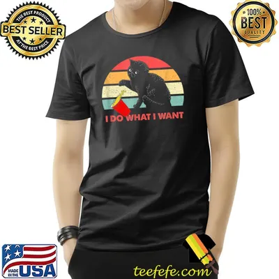 Retro Cat Lover I do what I want T-Shirt