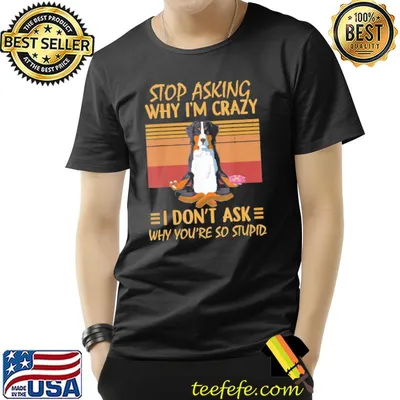 Stop Asking Why I’m Crazy -You’re So Stupid-Bernese Mountain T-Shirt