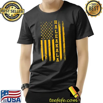 USA American Flag - National Park Haleakala T-shirt