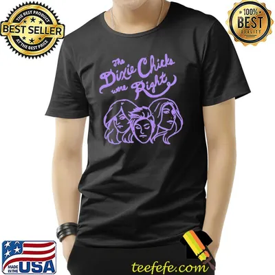 You know the dixie chix were right shirt