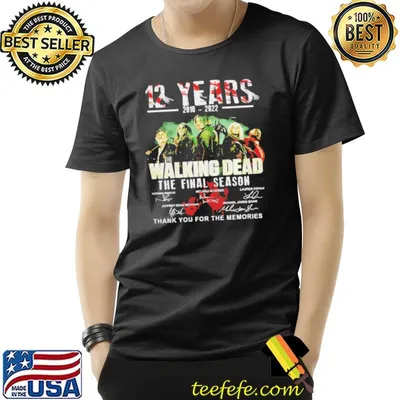 12 years 2010 2022 the walking dead the final season thank you for the memories shirt