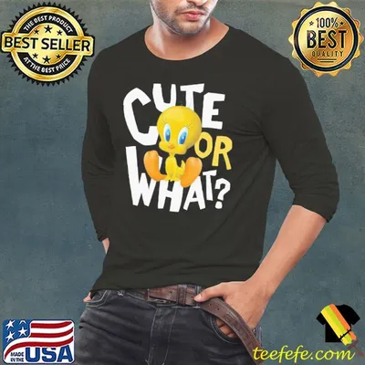 Looney tunes tweety cute or what disney gift shirt