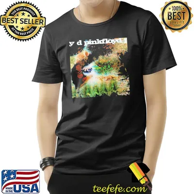 Pink Floyd Album Shirt