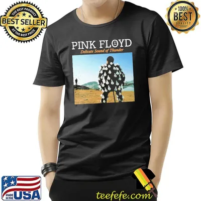Pink Floyd Delivate Sound Of Thunder Shirt
