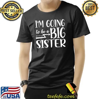 Promoted To Big Sis Leveled Up To Big Sisters Sibling Premium T-Shirt