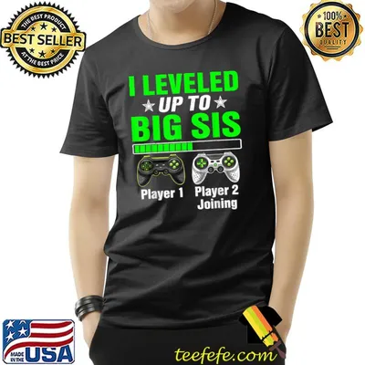 Promoted To Big Sis Leveled Up To Big Sisters Sibling T-Shirt
