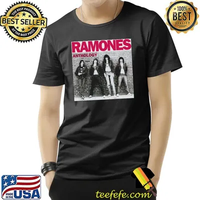 Ramones anthology hey ho let's go album cover black shirt
