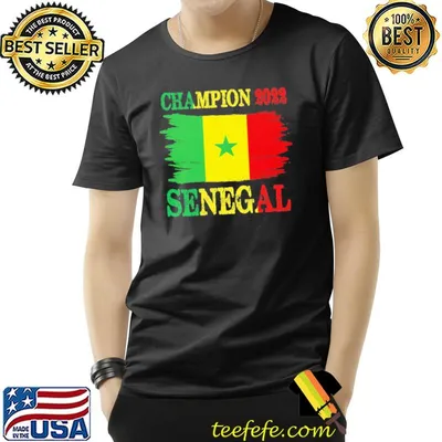 Sinegal world cup 2022 shirt