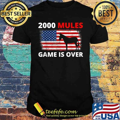2000 Mules Game Is Over T-Shirt