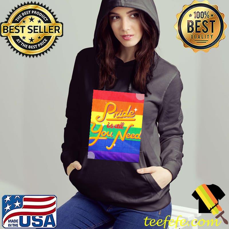 Pride is all you need pride allyship happy pried month s Hoodie Pride is all you need pride allyship happy pried month s Hoodie