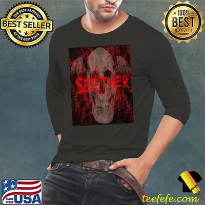 Vintage logo the seether rock band vintage shirt