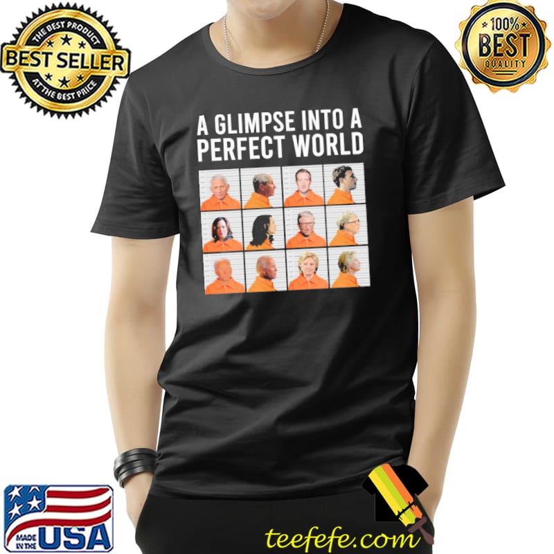 A glimpse into a perfect world shirt