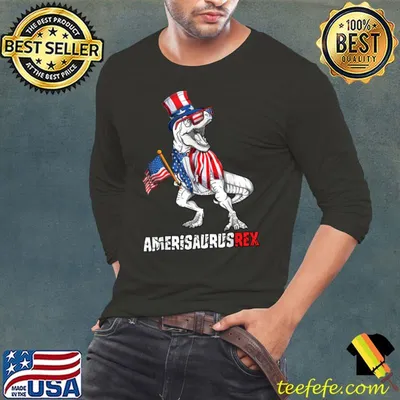American Flag 4th of July T Rex Dinosaur Amerisaurus Rex Boy T-Shirt