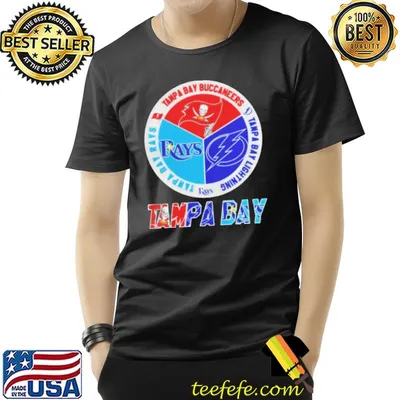 Tampa bay rays tampa bay buccaneers tampa bay lightning logo shirt