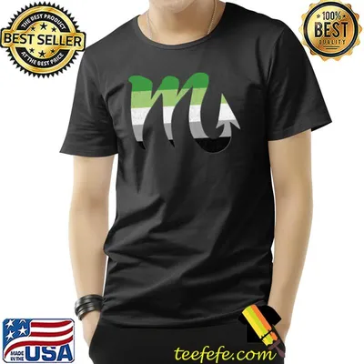 Aromantic Scorpio Pride Flag T-Shirt