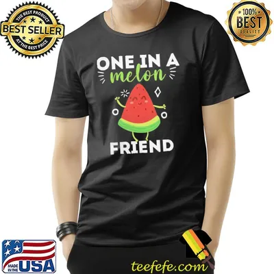 Friend t one in a melon friend watermelon t classic shirt