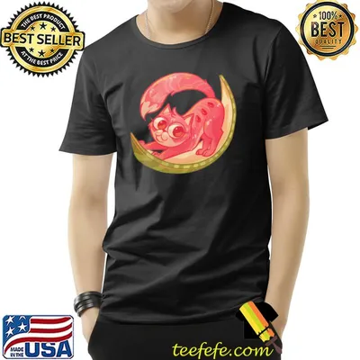 Fruit cat t watermelon cat classic shirt