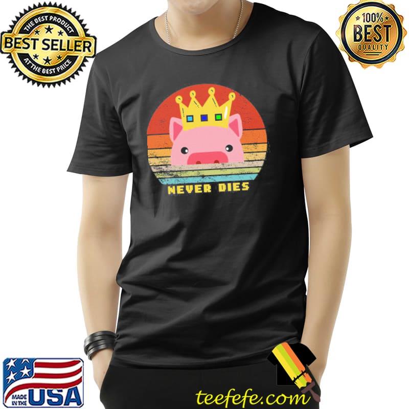 Technoblade vintage retro graphic shirt