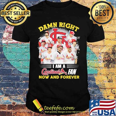 Damn right I am a St Louis Cardinals fan now and forever shirt