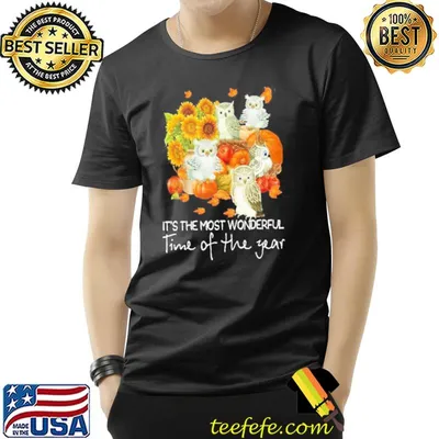 It's the most wonderful time of the year owl halloween pumpkin spooky season classic shirt