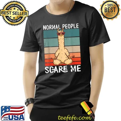 Normal People Scare Me Llama Yoga Halloween 2022 Vintage T-Shirt