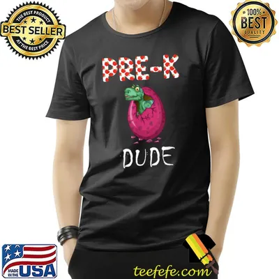 Pre-k dude egg dinosaur back to school T-Shirt