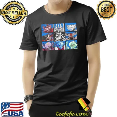 The raidy bunch destiny game shirt