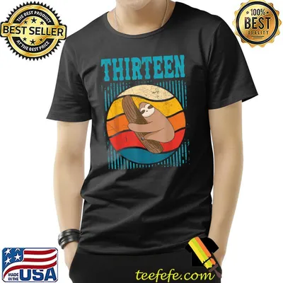 13 Year Old 13th Birthday Sloth Party Vintage T-Shirt