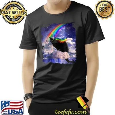 Black Cat Rainbow Unicorn Caticorn In Clouds Space T-Shirt